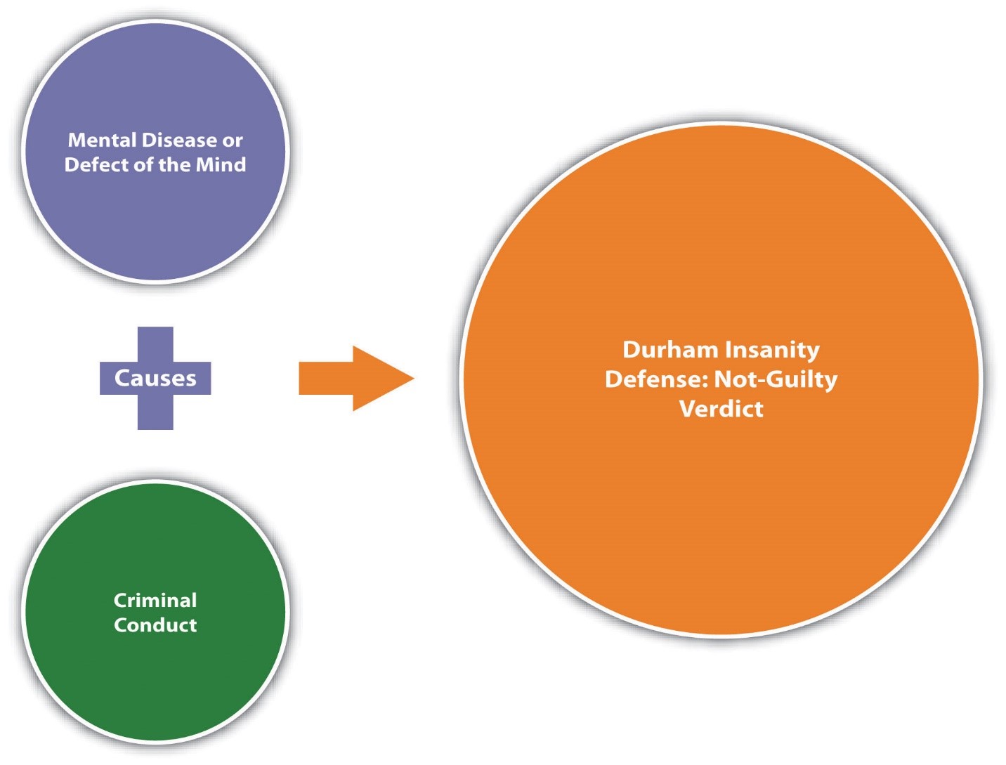 Biological Theory of Crime- Explanation and Examples